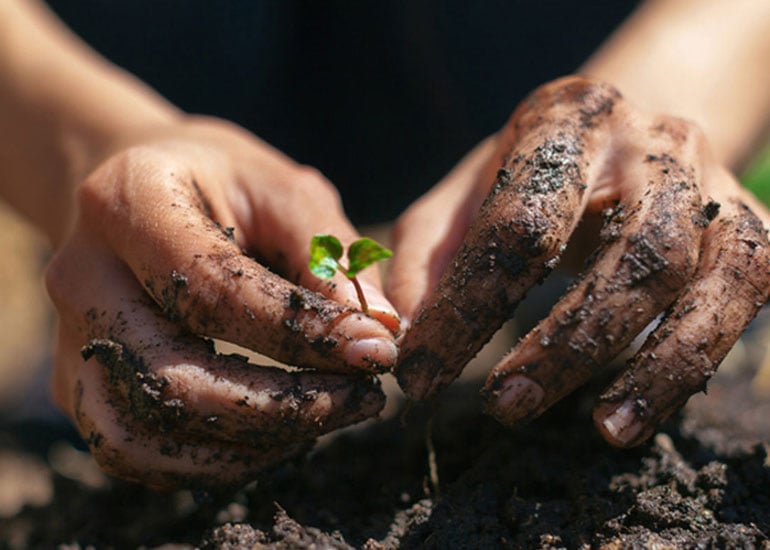 Get Your Hands Dirty: 5 Ways Gardening Can Improve Your Health