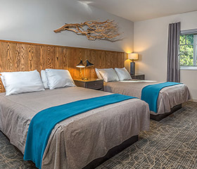 What is the difference between shared and paired accommodations?