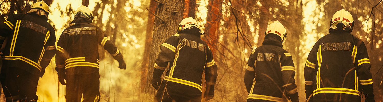 Healing Our First Responders/Veterans